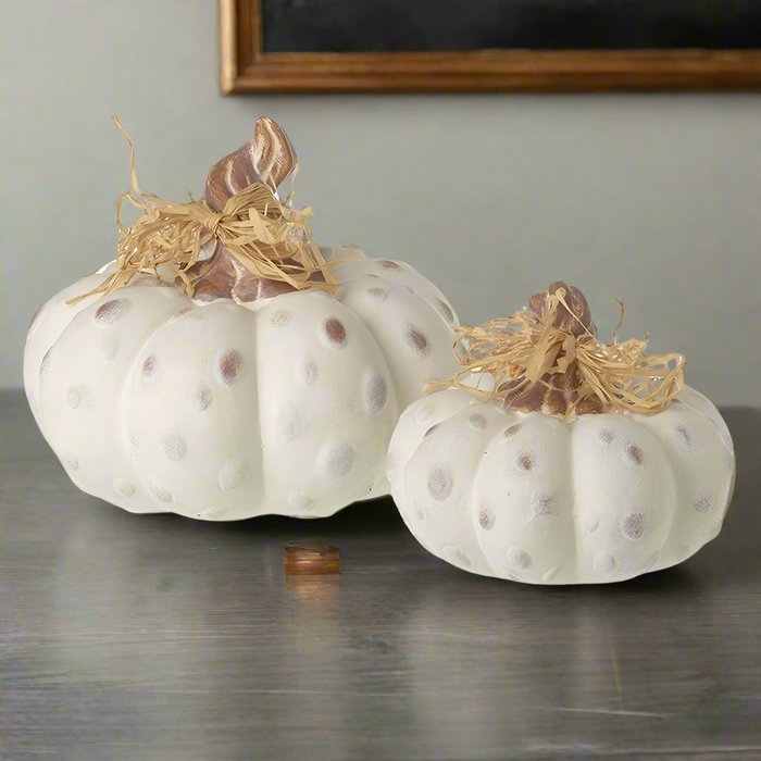 Textured White Pumpkins - Set of Two