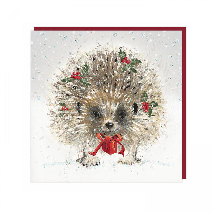 Hedgehog Christmas Cards - Special Gift - Pack of 6