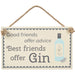 Good friends offer advice Best friends offer Gin - Gin Plaque